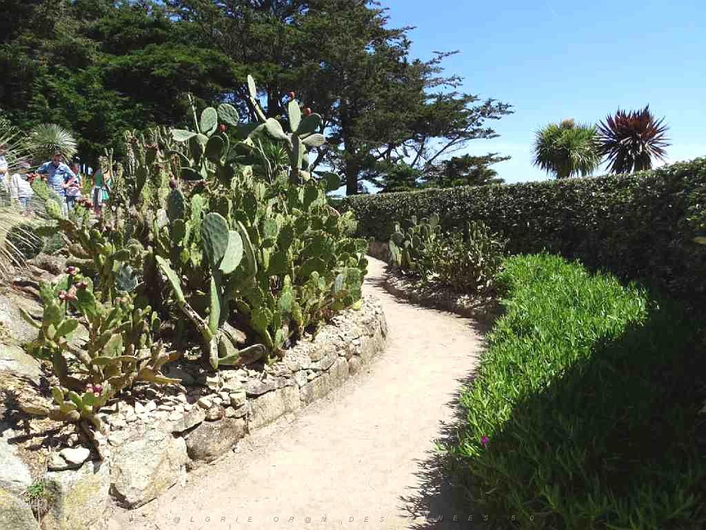 131 Ile de Batz Jardin Georges Delaselle_000006.jpg